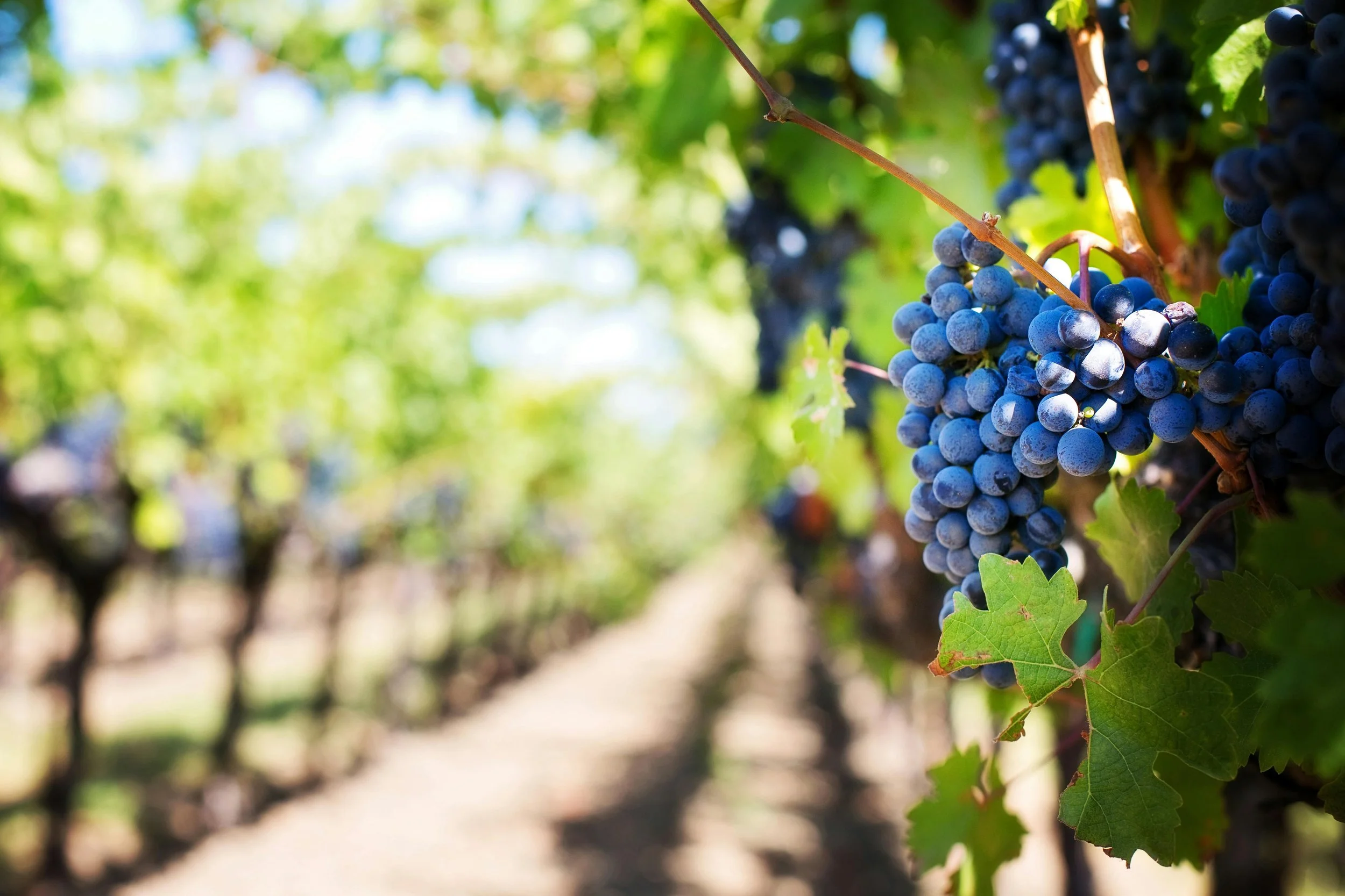 Seasonal Jobs and Workers' Compensation