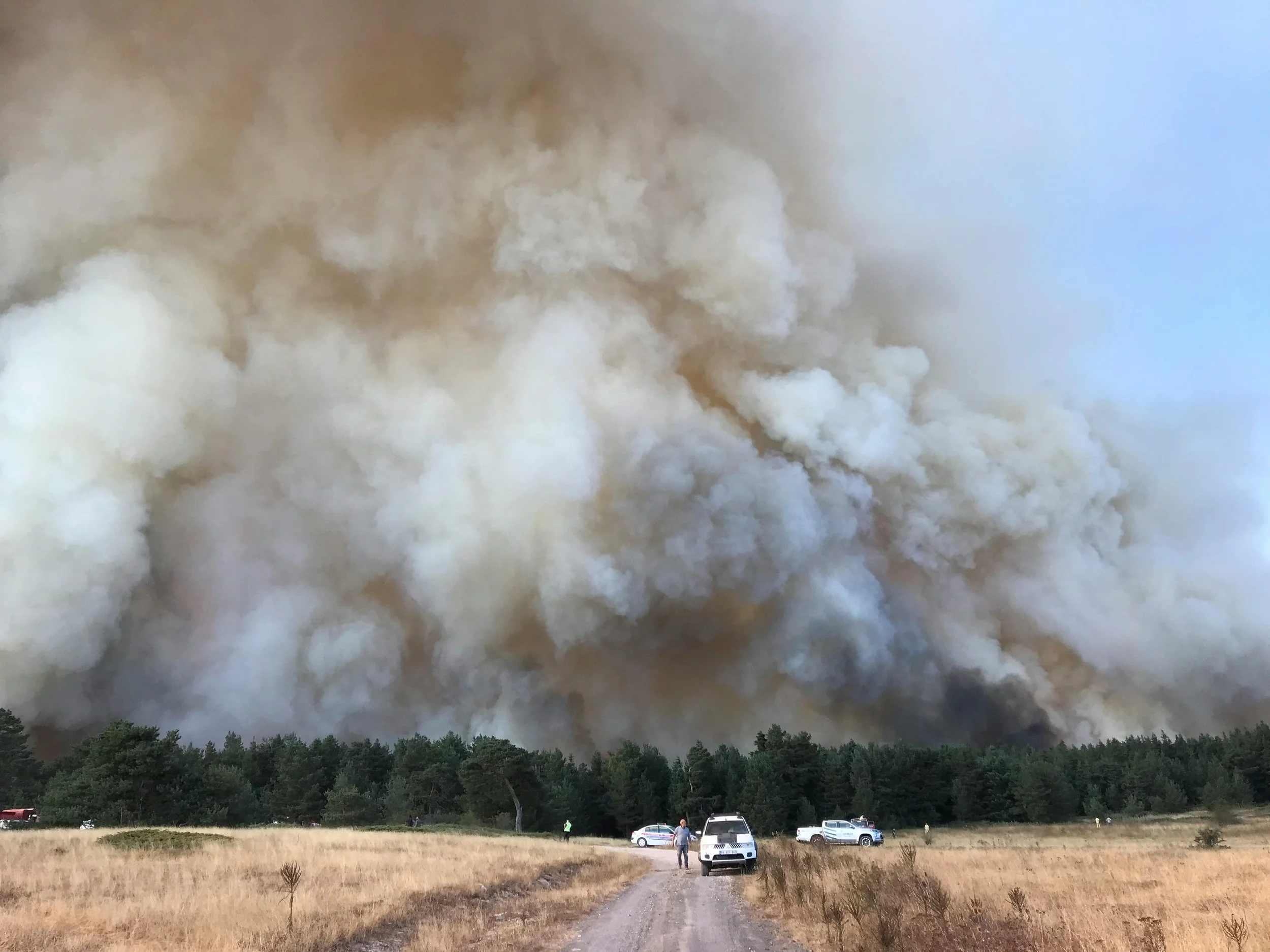 Air Quality Tips for Workers During Fire Season