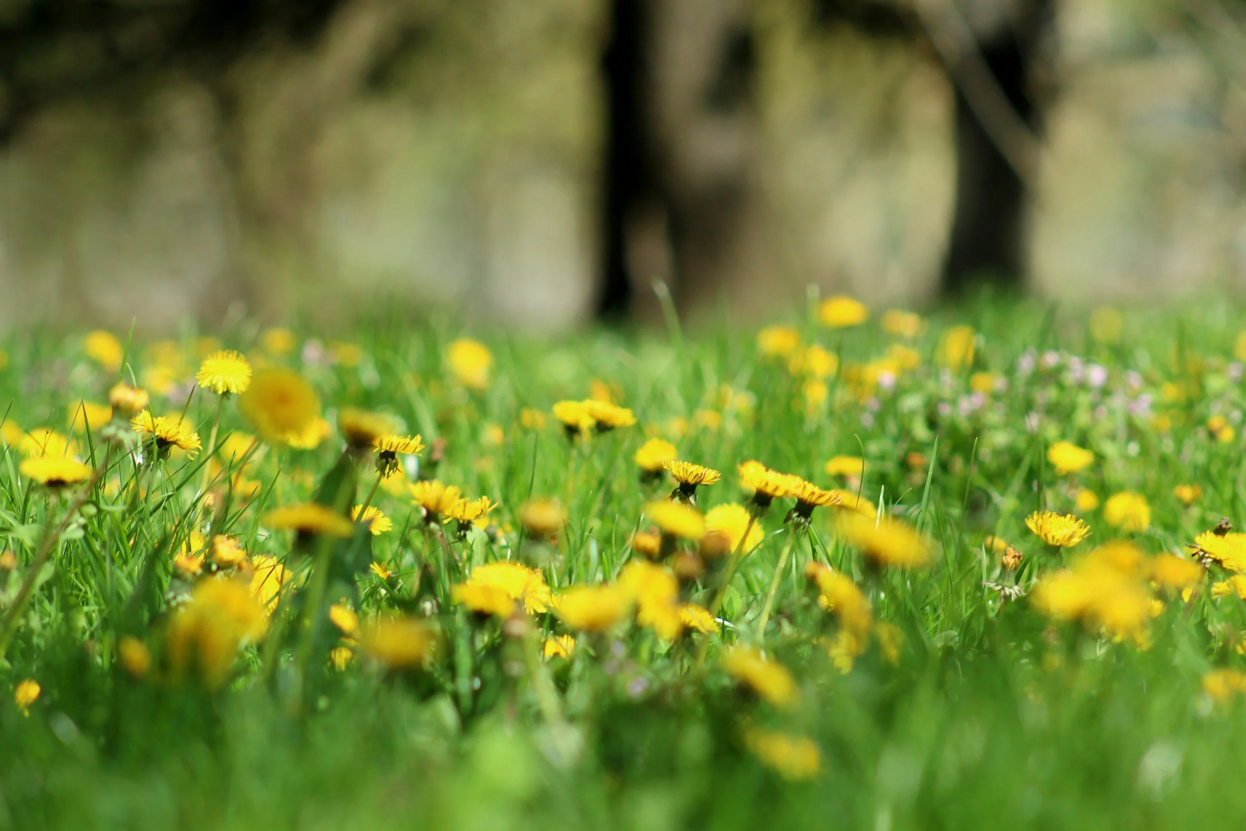 Spring Forward: Adjusting Workplace Safety with Daylight Saving Time