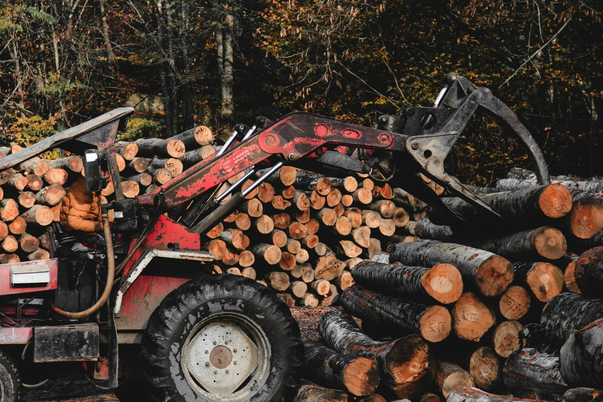 5 Common Logging Injuries and How to Prevent Them