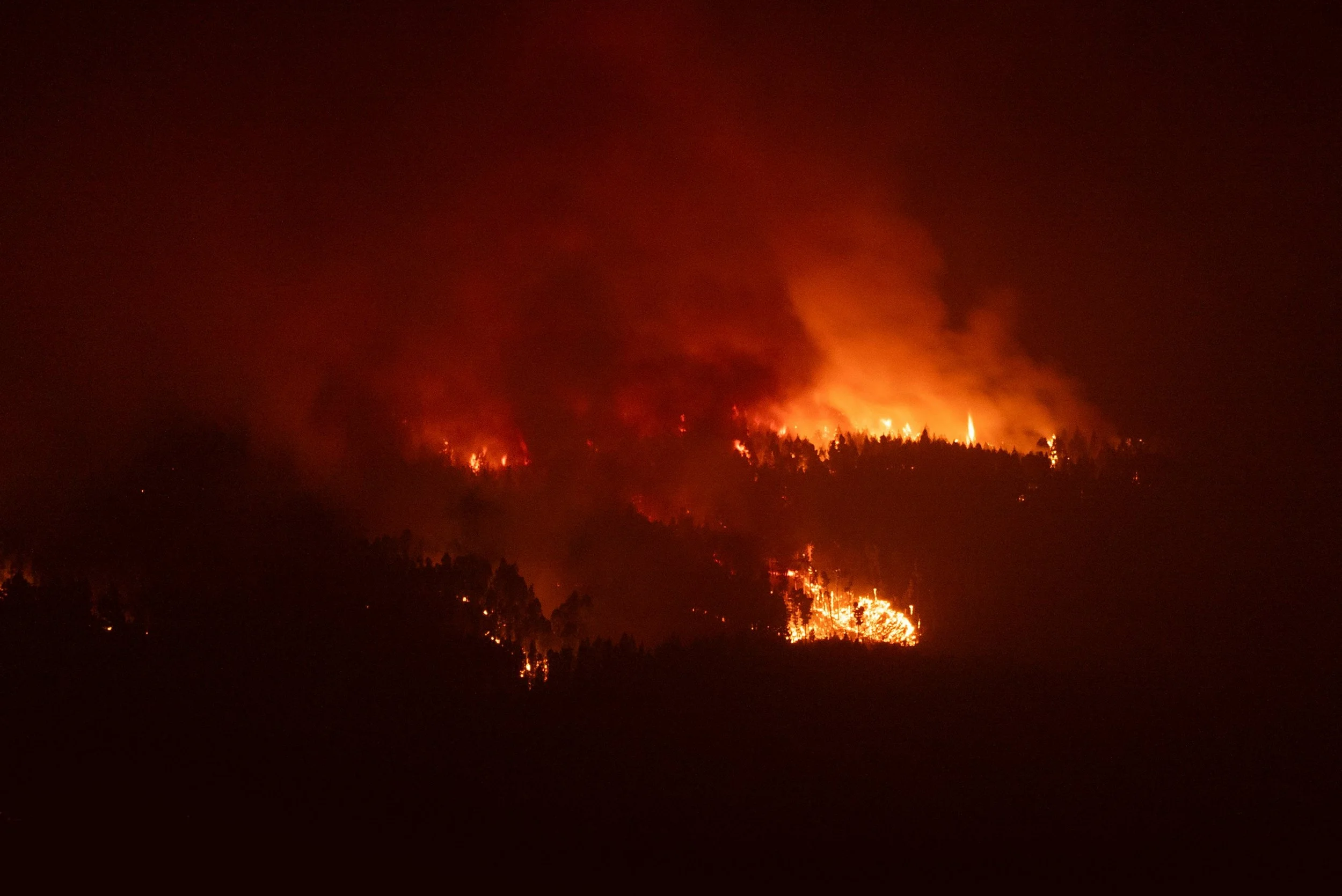 a fire raging through a forest