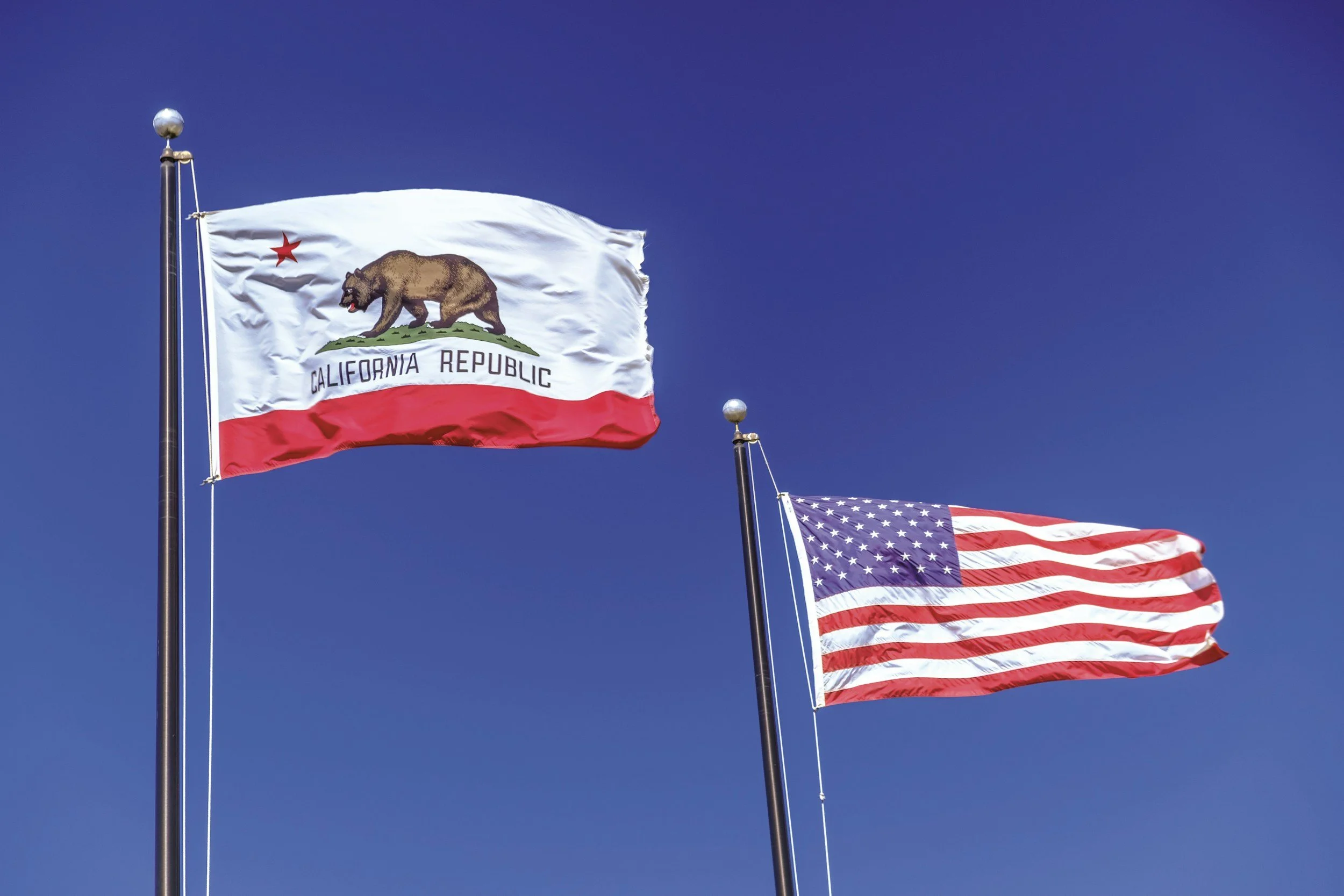 California State Vs. Federal Disability